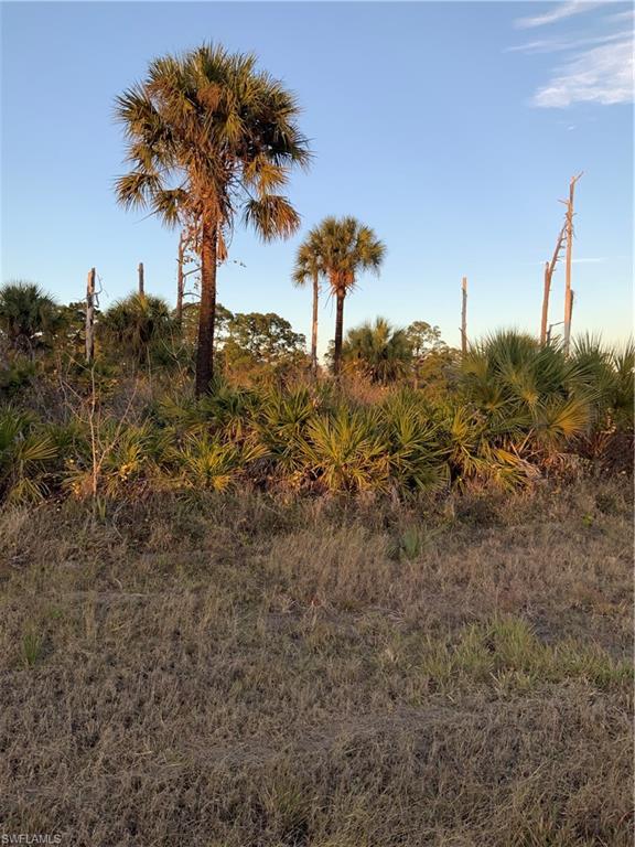 BANYAN VILLAGE - Land