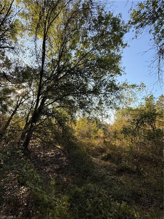 MONTURA RANCH ESTATES - Land