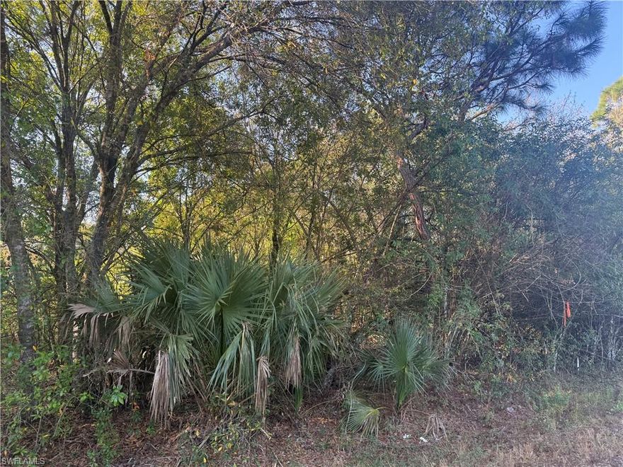 Set in Montura Ranch Estates, a rural Clewiston community near Lake Okeechobee in Hendry County, this 1-acre lot offers the space and freedom buyers look for—no HOA rules and no deadline to build. Located on a main paved road, it’s an easy-to-reach property for a future homesite, weekend getaway, or long-term hold. Why buyers like Montura: Large-lot rural lifestyle Bring your animals, start a garden, plant fruit trees Build when you’re ready