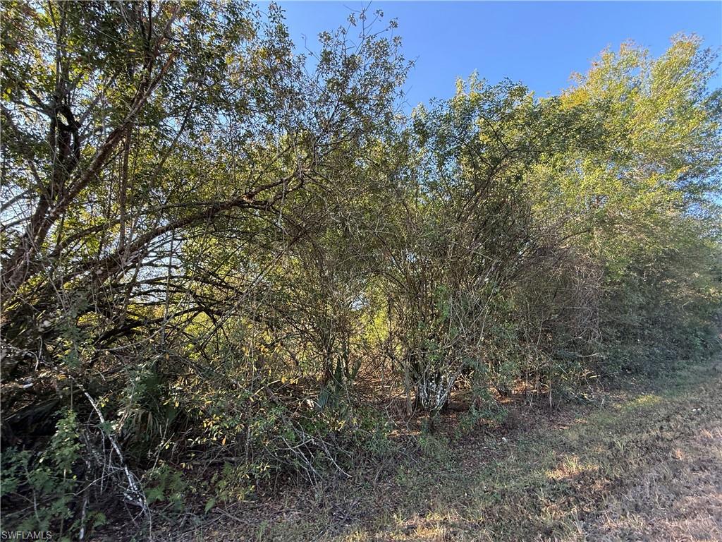 MONTURA RANCH ESTATES - Land