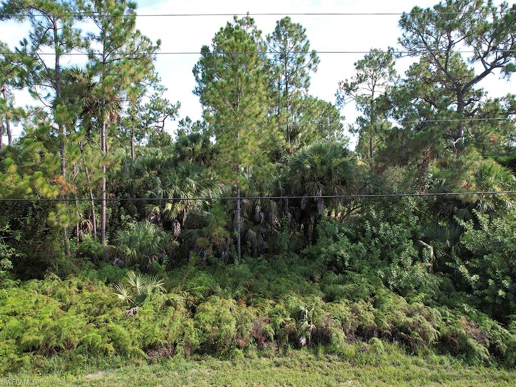 GOLDEN GATE ESTATES - Land