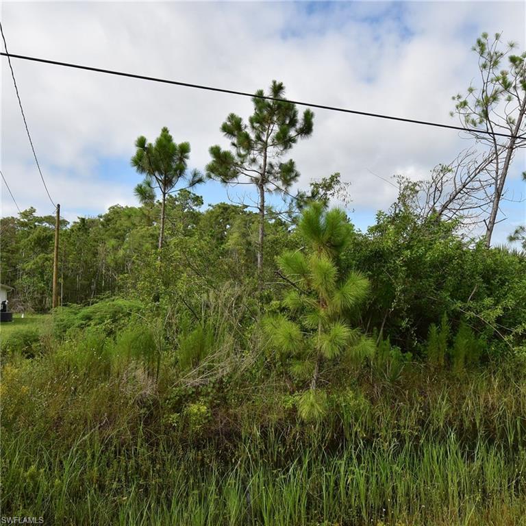 GOLDEN GATE ESTATES - Land