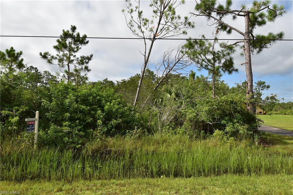 GOLDEN GATE ESTATES - Land