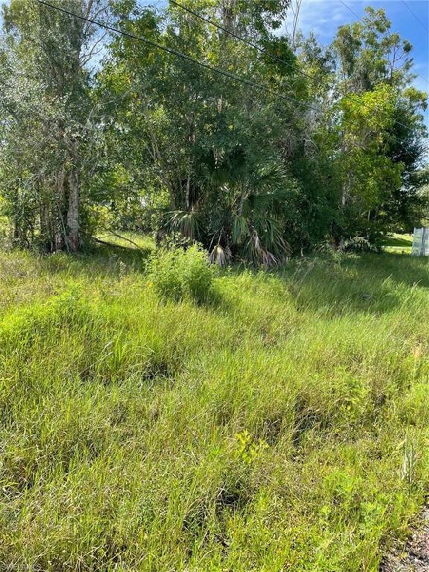 An extraordinary opportunity awaits! Presenting one of the last remaining undeveloped lots in the prestigious Briarcliff area in Fort Myers - a sprawling 2.88-acre lot awaiting your vision. Briarcliff area offers the allure of a countryside retreat coupled with the convenience of proximity to premier shopping and dining destinations as well as beaches within a short drive from your house. The lot is ready for construction, boasting cleared grounds, some fill dirt on place and, if desired, a building permit. Are you ready to embark on building your DREAM HOME!