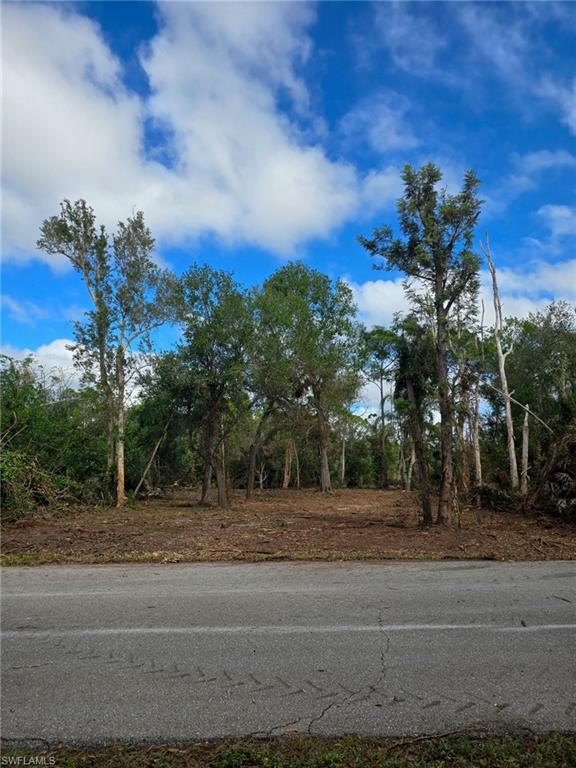 TROPICAL GULF ACRES - Land