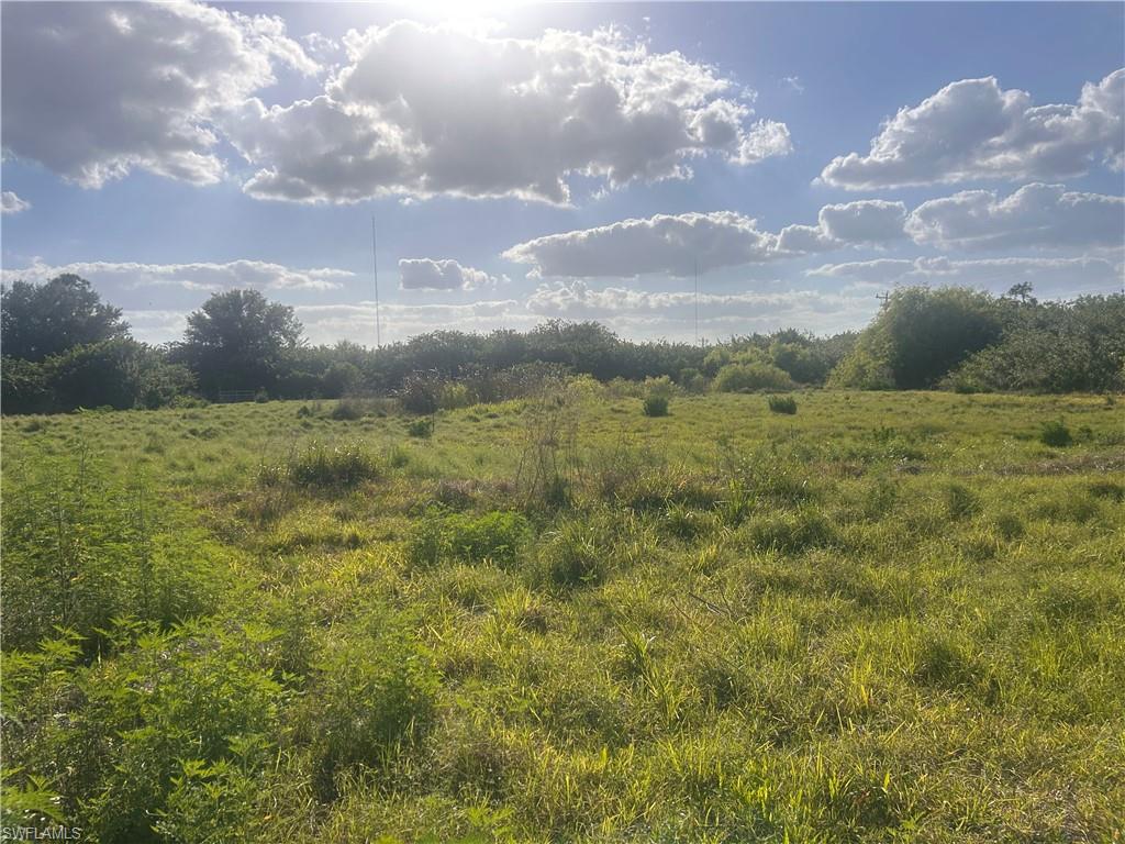 PUNTA GORDA - Residential