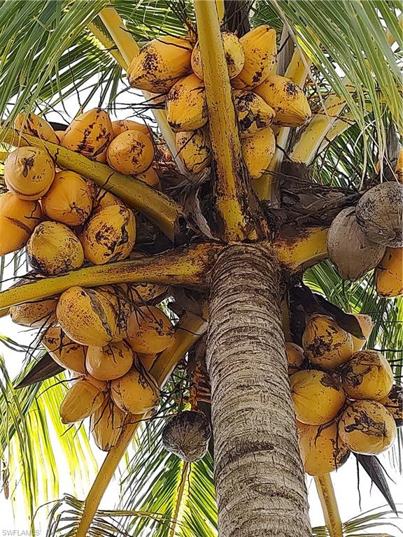 NOT APPLICABLE - Residential