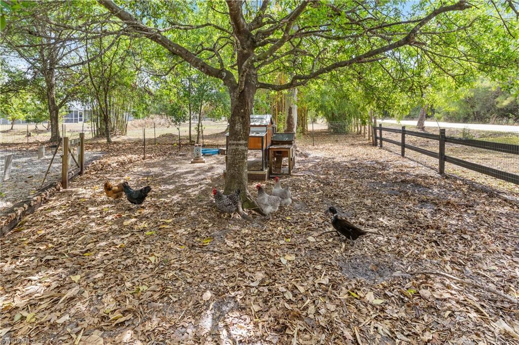 NORTH FORT MYERS - Residential