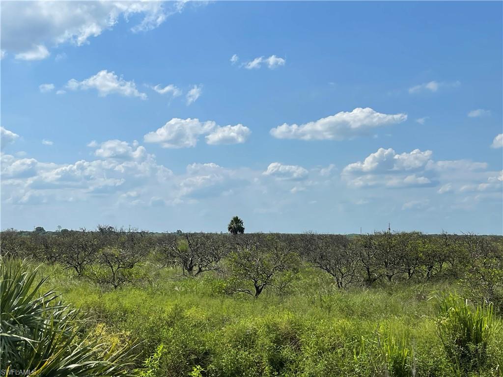 Sears RD