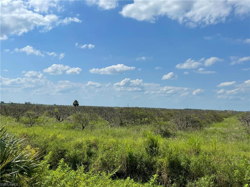 Sears RD
