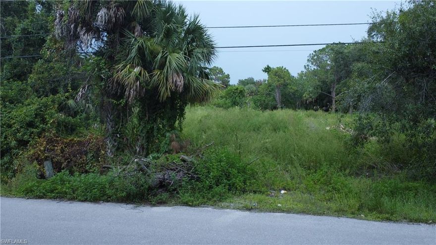 LOCATION LOCATION LOCATION!!! Looking to build your dream home in the growing community of North Fort Myers? Oversize lot ready to build or place your mobile home. Zoned for Manufactured Homes, Mobile Homes, Wood frame/Block Homes & NO HOA. This half-acre lot would be the perfect lot for your dream home or for an investment opportunity. Position a mobile home on this property & flip it for a profitable ROI. Only minutes away from Downtown Fort Myers, fishing, shopping, entertainment, restaurants, I-75 & Bayshore Rd.  A serene and spacious location to build your dream sanctuary & possess your own piece of paradise. Do not miss this opportunity!!!