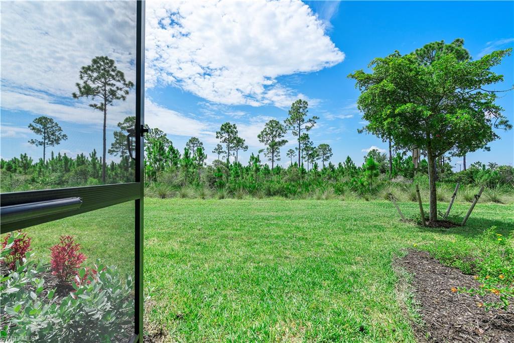PRESERVE AT BABCOCK RANCH - Residential