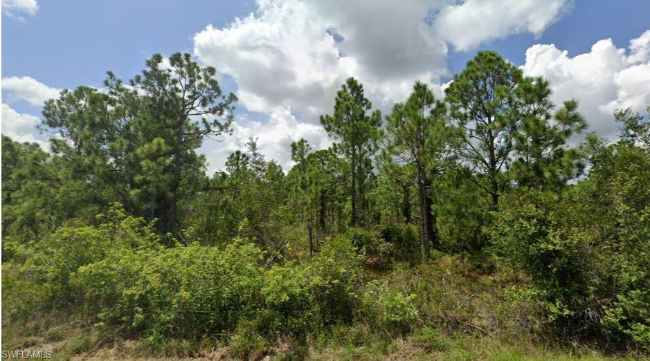 TROPICAL GULF ACRES - Land