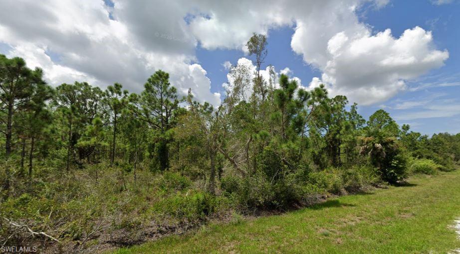 TROPICAL GULF ACRES - Land