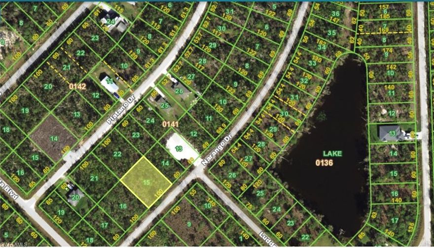The lot is located in Port Charlotte County. It's just north of downtown Ft.Myers. Punta Gorda is a fasting growing area with tons of potential. The seller is selling the lot (12147) next door. They would accept offers for both. The combined frontage of both lots would be 200 feet. Make your offer today.