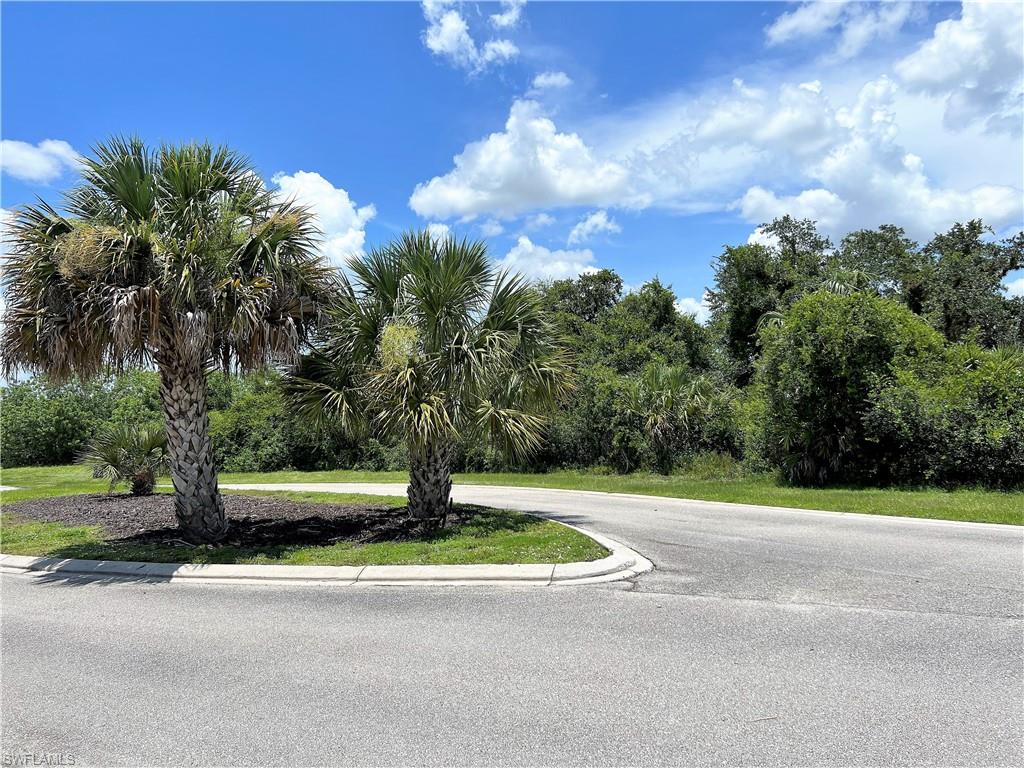 Caloosa Preserve - Land