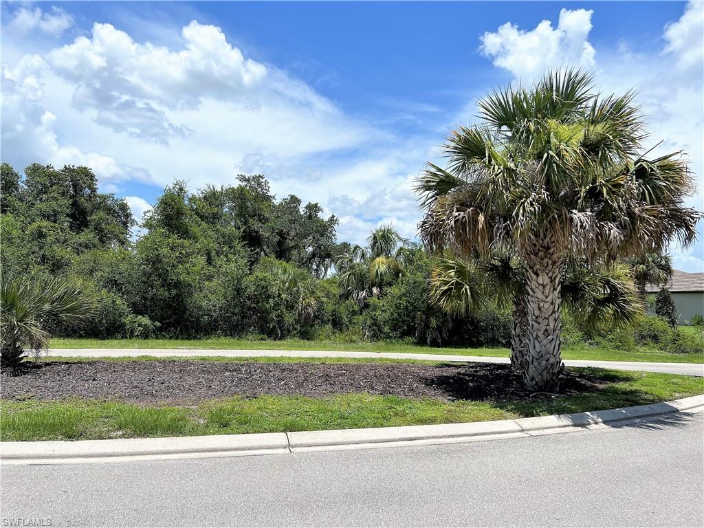 Caloosa Preserve - Land