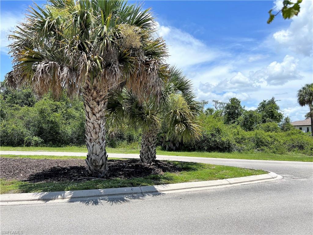 Caloosa Preserve - Land