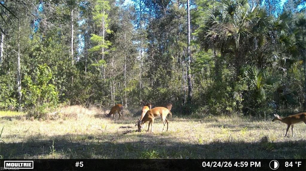 ACREAGE HEADER - Land