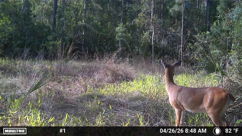 ACREAGE HEADER - Land