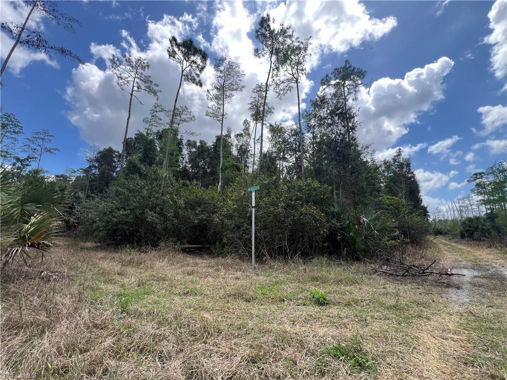 ACREAGE HEADER - Land