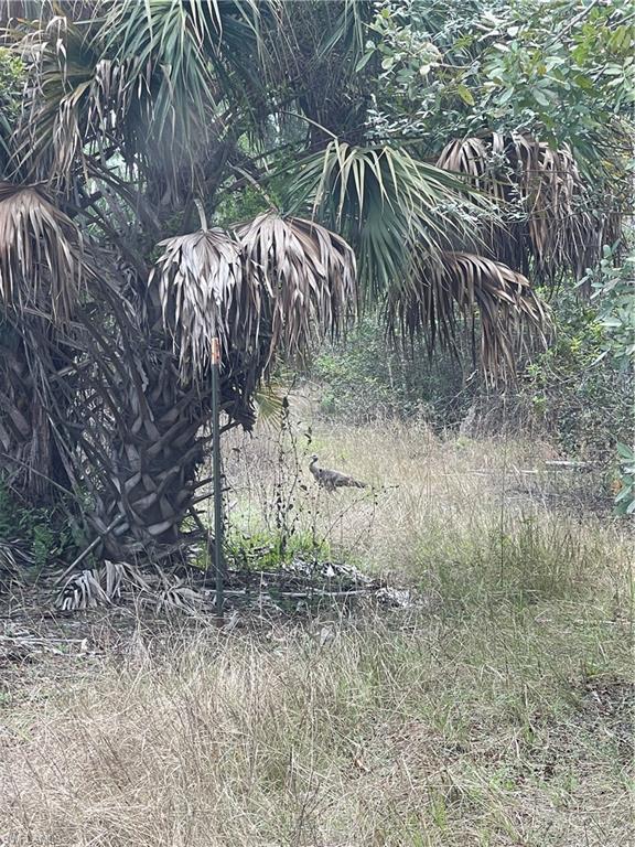 ACREAGE HEADER - Land