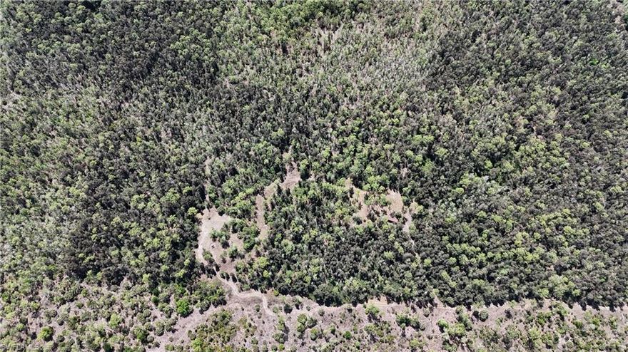 Located in Naples within Collier County, this 15-acre parcel presents a rare opportunity to own a sizable tract of land in an area that continues to see steady growth and development. The property consists of two parcels, identified as Parcel ID 00181360009 and Parcel ID 00181560401, and is situated off Jozach Drive with direct access.



The land has a history of agricultural use, previously supporting palm tree cultivation. That prior use contributes to the existing layout and usability of the property. In more recent years, the land has been utilized for recreational purposes including camping and hunting. Its size and location allow for a variety of outdoor activities while still being positioned within reasonable proximity to established residential and commercial areas.



A notable feature of the property is the presence of an on-site well. According to available information, the property includes the right to use up to 1,000,000 gallons of water per month as allocated by the South Florida Water Management District. Buyers should verify all usage rights and permitting requirements with the appropriate governing authorities.



Improvements on the property include a 40-foot steel storage container, which will convey with the sale. This structure may be useful for storing equipment, supplies, or recreational gear. The property’s layout and acreage provide flexibility for a range of uses such as outdoor recreation, seasonal camping, or continued agricultural activities, subject to local zoning and land use regulations.



The surrounding area includes a mix of residential communities, undeveloped land, and commercial corridors. Despite being located within an active region of Naples, the parcel itself offers a degree of separation that may appeal to buyers looking for open land with multiple potential uses. Access to nearby roadways allows for connection to essential services, shopping, and dining.



Nearby communities include Bonita Springs approximately 20 miles north and Marco Island approximately 25 miles south. These areas provide additional amenities, coastal access, and recreational opportunities. The property’s central location within Collier County places it within reach of both inland and coastal destinations.



Prospective buyers are encouraged to conduct their own due diligence regarding zoning, permitted uses, environmental conditions, and any applicable restrictions. This offering represents a combination of acreage, location, and existing features that may support a variety of lawful uses in Southwest Florida.