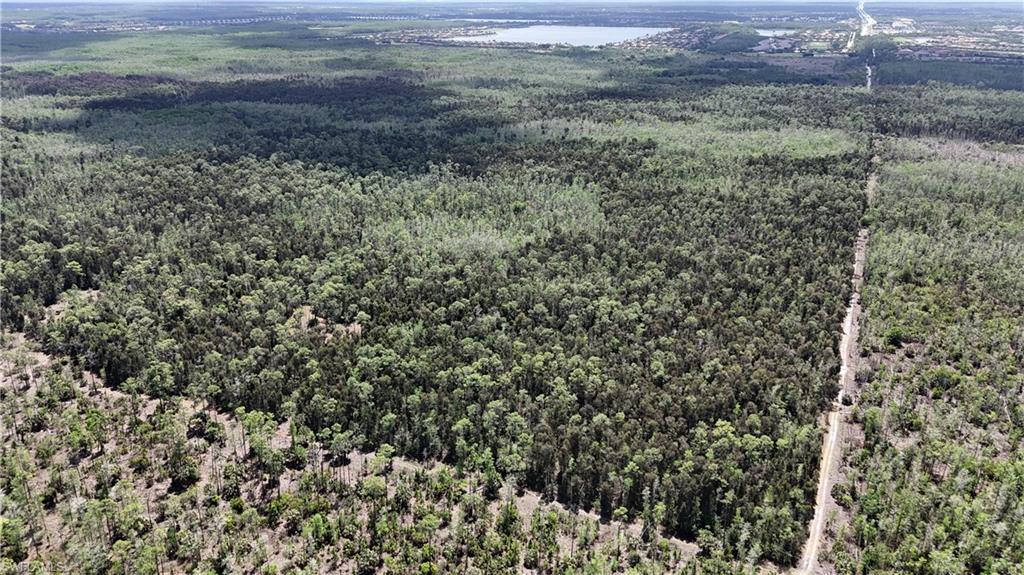 ACREAGE HEADER - Land