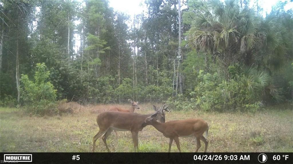 ACREAGE HEADER - Land