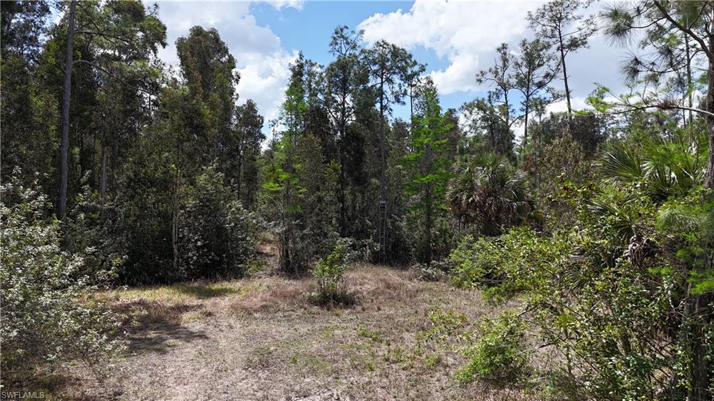 ACREAGE HEADER - Land