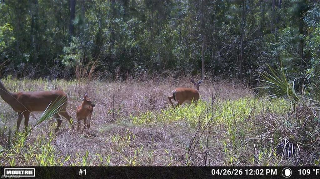 ACREAGE HEADER - Land