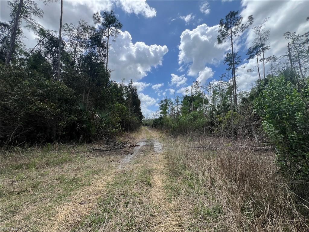 ACREAGE HEADER - Land