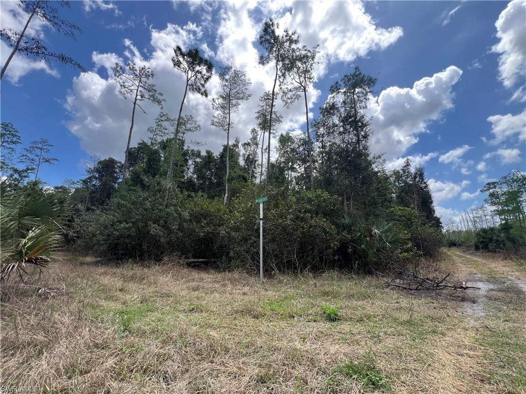 ACREAGE HEADER - Land