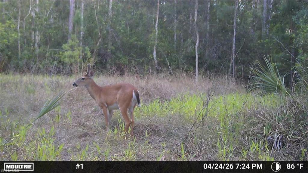 ACREAGE HEADER - Land