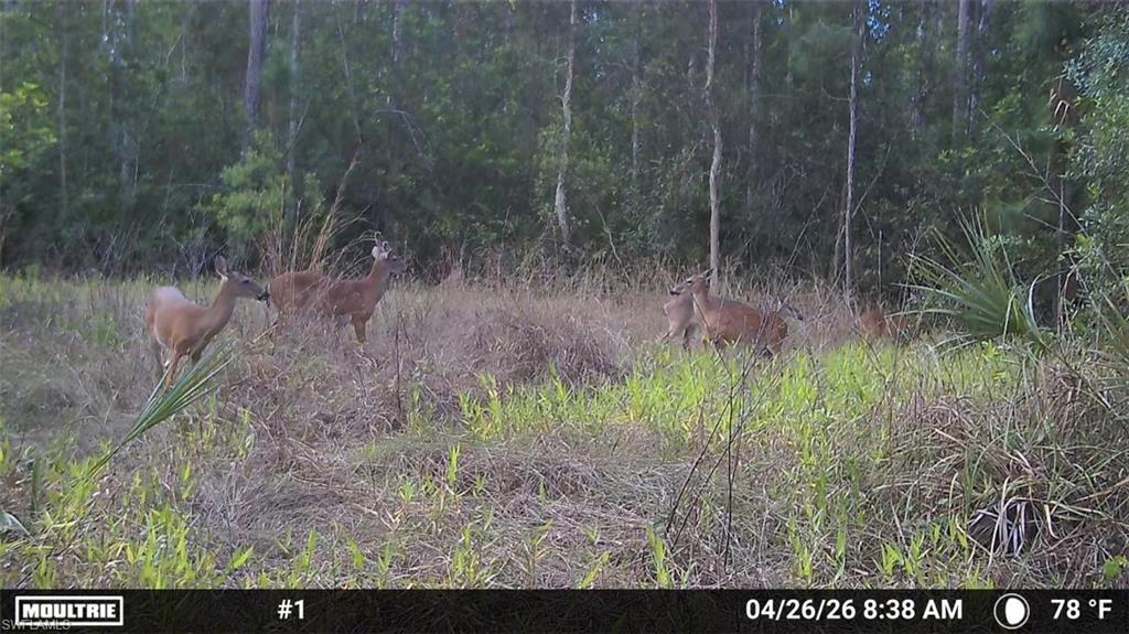 ACREAGE HEADER - Land