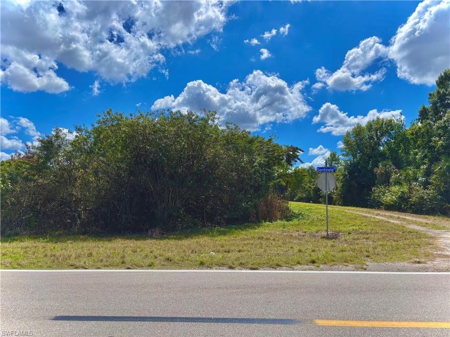 GREAT LOCATION on a CORNER with utilities available right off Sentinela blvd! Just minutes from major amenities with a quick commute to Fort Myers! Come build your DREAM HOME or INVEST today.