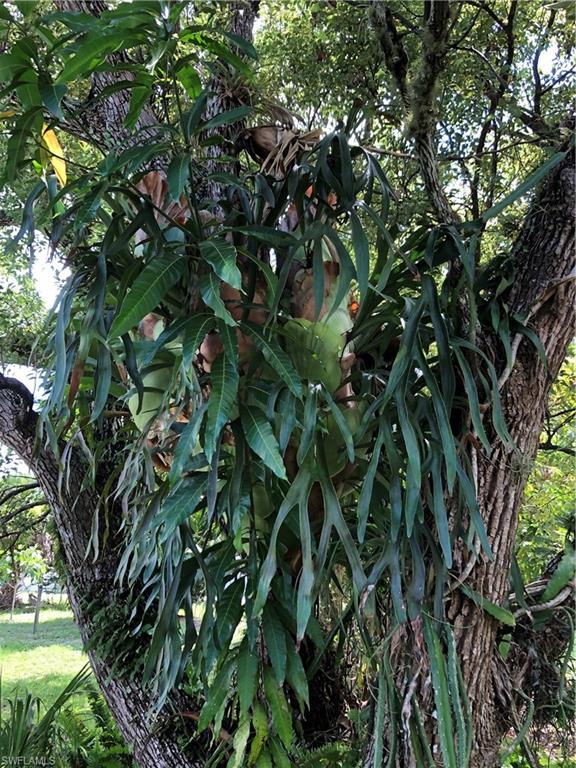 BAY PARK - Residential