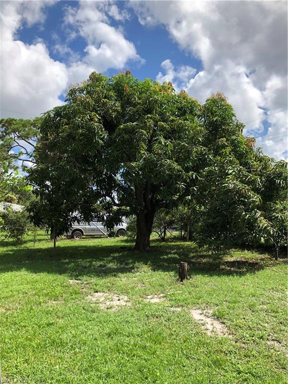 BAY PARK - Residential