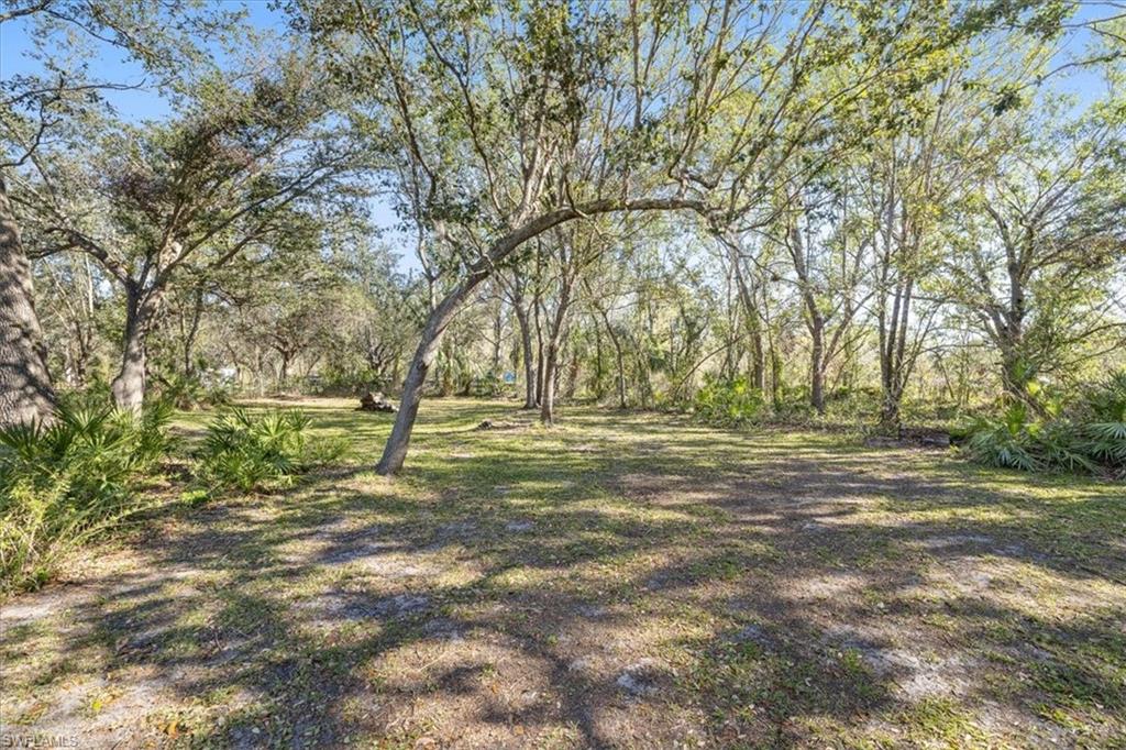 TALL PINES - Residential