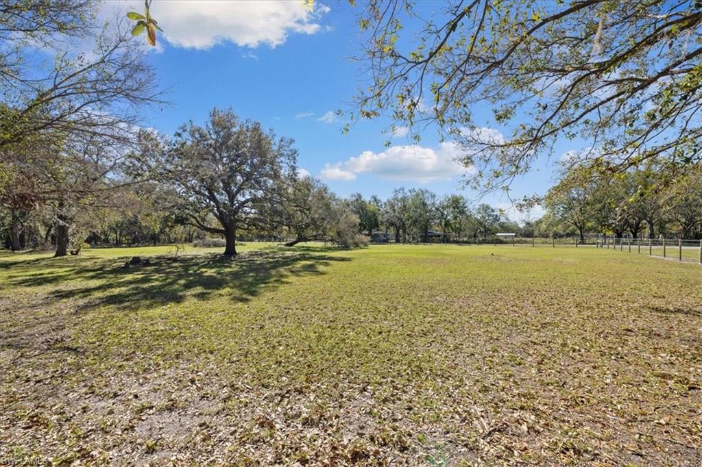 TALL PINES - Residential