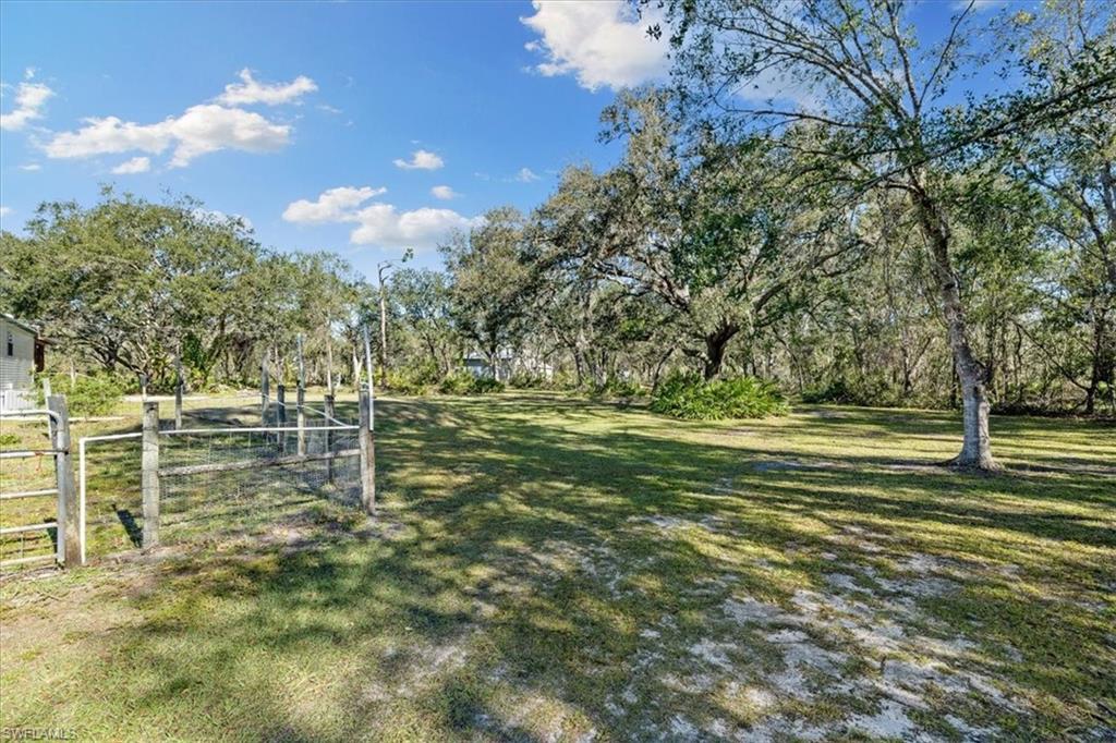 TALL PINES - Residential