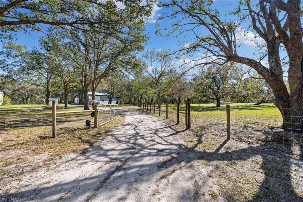 TALL PINES - Residential