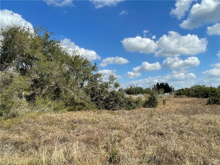 .5 +/- acre lot in quiet neighborhood. Very conveniently located approximately 1.5 miles from Joel, 5 miles from SR 80, and minutes from shopping and schools. Mostly cleared with some mature oaks and pine trees remaining, this property is ready for a project!
