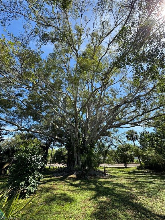 ROYAL PALM PARK - Residential