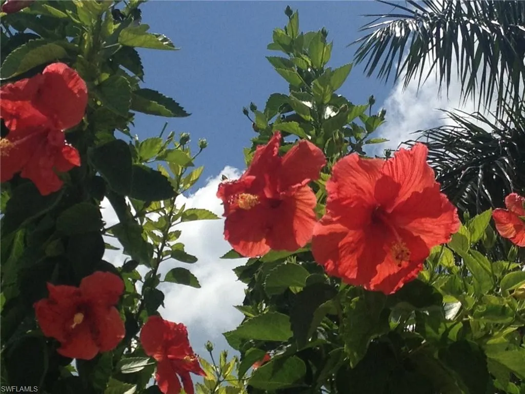 Marco Island, Florida 34145, United States, 2 Bedrooms Bedrooms, ,2 BathroomsBathrooms,Residential,Active,53615