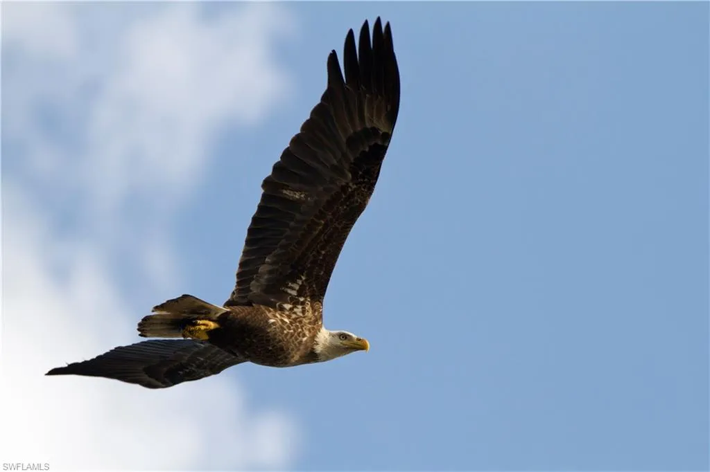 Marco Island, Florida 34145, United States, 2 Bedrooms Bedrooms, ,2 BathroomsBathrooms,Residential,Active,53615