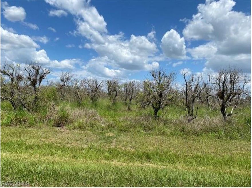 119.32 acres (more available) of an older orange grove ready to transition to the next phase. Conveniently located 25 minutes from I-75, this is the perfect spot to get away from it all. Zoned A-2 so it will work for most agricultural uses as well as a home(s) site. This property is on the corner of Norris Rd and CR 78 and part of a larger property so it will have to be split out. Beautiful Jack's Branch runs through the property. The parcel outlined is approximately 119.32 acres (a survey will be required).