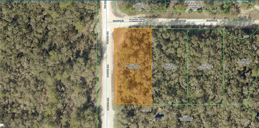 Excellent opportunity to build on this .48-acre corner lot in Ridge Manor. This high and dry parcel has electric available, with no wetlands and no flood zone, and NO HOA, making it a clean and practical option for your future homesite. The corner lot layout offers added flexibility for placement and design. Located in Ridge Manor, you get the quiet feel of country living while still having convenient access to major roadways, including I-75. Within close proximity to the Withlacoochee State Trail while still being a short drive from the shops, dining, and services of Brooksville and Dade City. Enjoy space, privacy, and a peaceful setting while building exactly what you want.