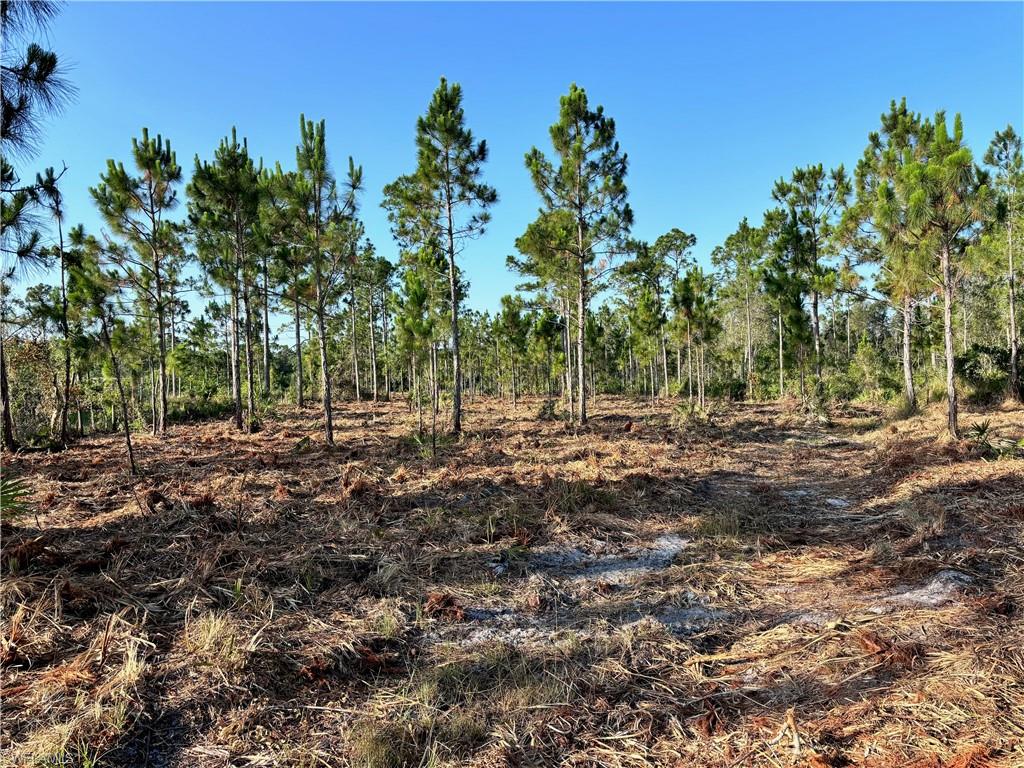 NORTH FORT MYERS - Land