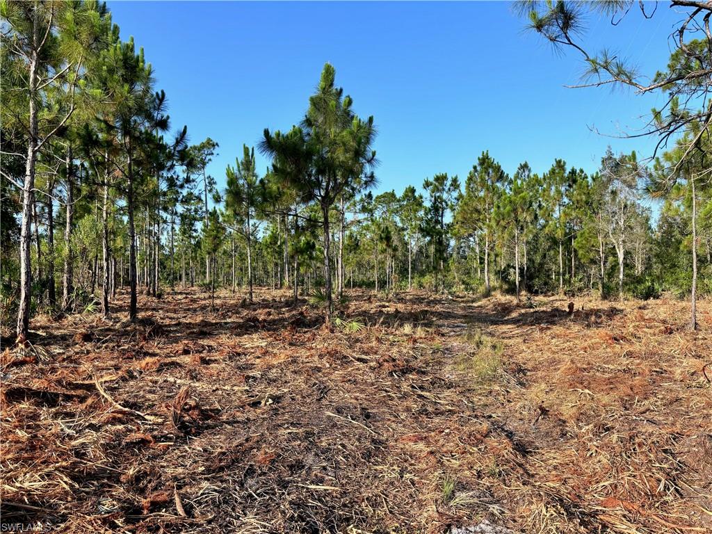 NORTH FORT MYERS - Land